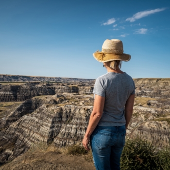 View of Horseshoe Canyon, Alberta Badlands.