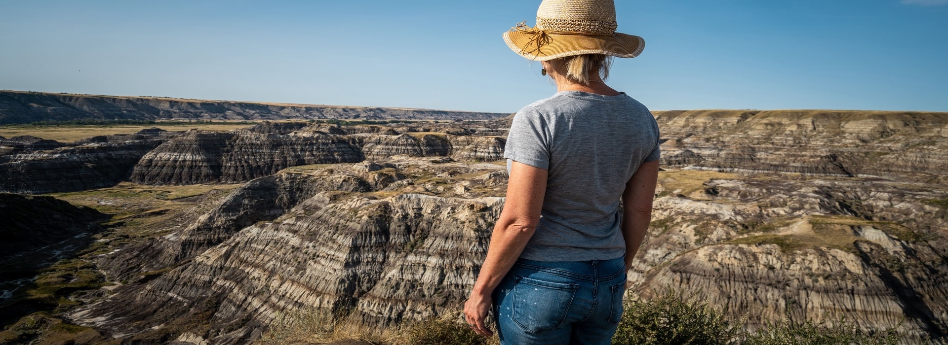 View of Horseshoe Canyon, Alberta Badlands.