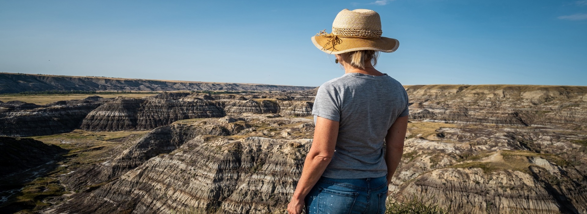 View of Horseshoe Canyon, Alberta Badlands.