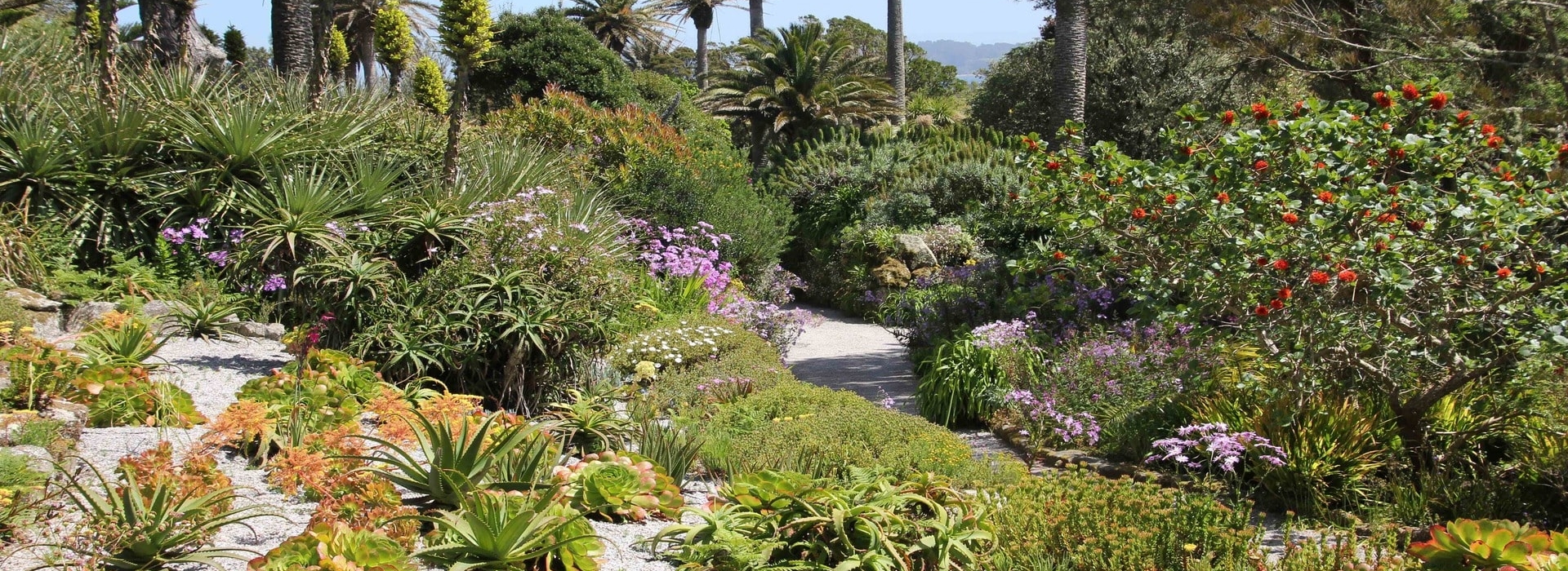 Tresco Abbey Gardens, Scilly Isles, Isles of Scilly Holidays