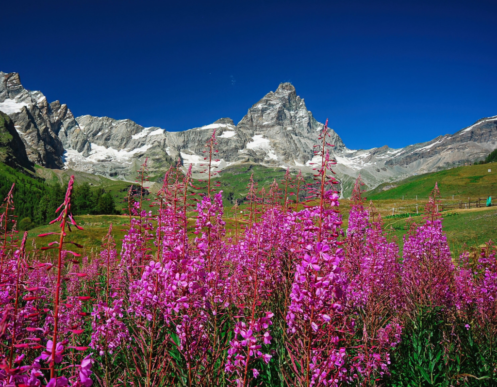 Matterhorn view from Breuil-Cervinia, Italian Alps