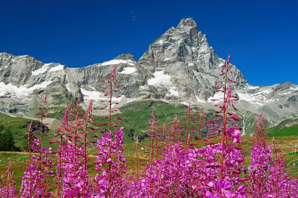 Matterhorn view from Breuil-Cervinia, Italian Alps