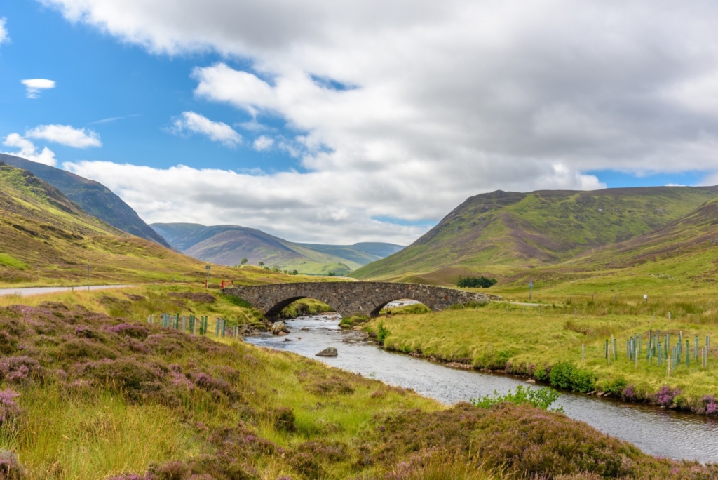 Summertime vista in Cairngorms National Park, Scotland.