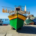 Best time to visit Madeira is Autumn. Views of fishing boats in the harbour.