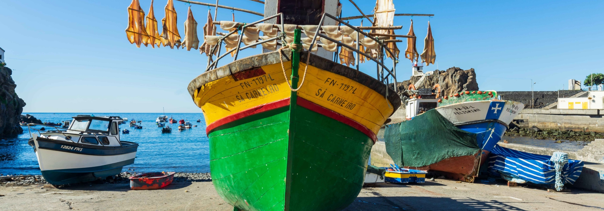 Fishing boats, Madeira