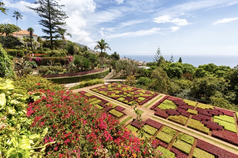 Funchal Botanical Gardens, Madeira.