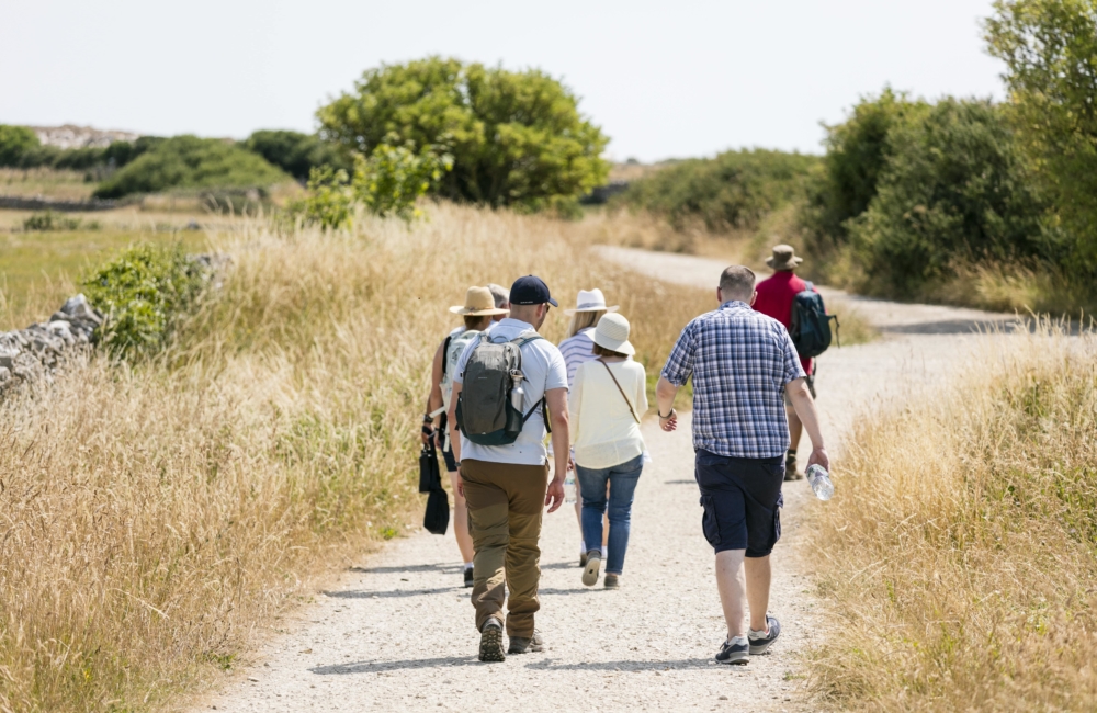 Ambling along the Jurassic Coast, Dorset.