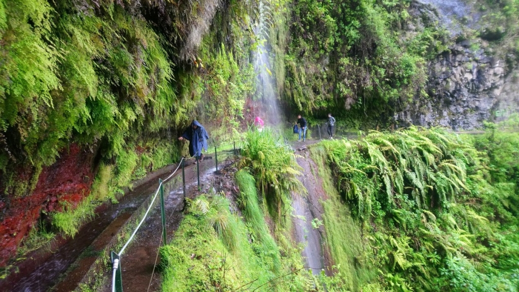 Levadas walk and waterfall, Madeira.