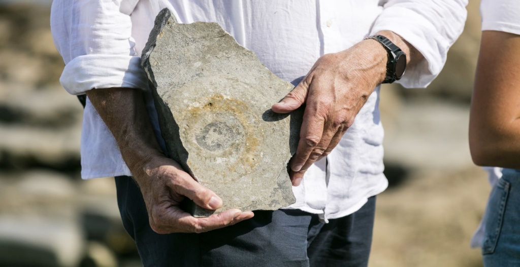 Lyme Regis Fossil hunting