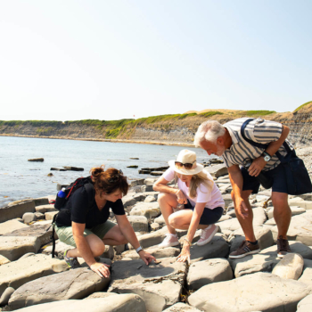 Fossil hunting at Lyme Regis, Dorset, England.