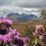 Experience the best time to visit Scotland. Explore Alligin near Torridon on the west coast.