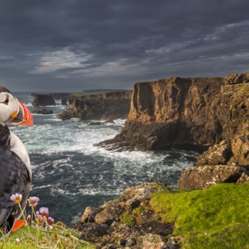Eshaness cliffs during sunset, Shetland