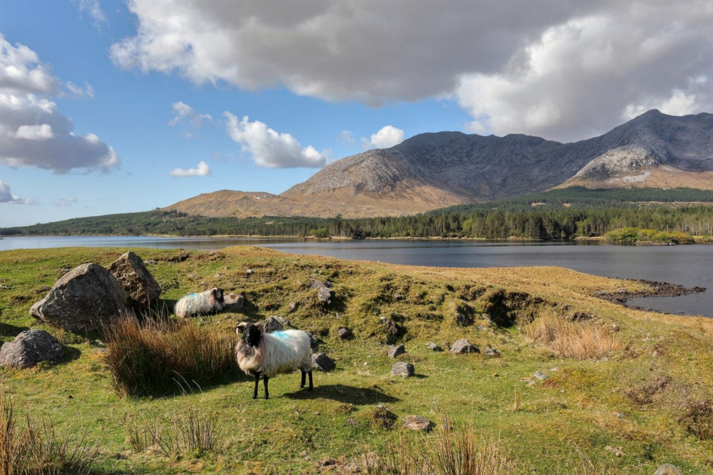 Connemara, Co Galway