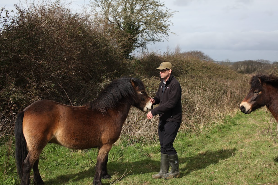 Isle of Wight farm